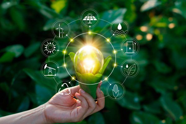 ¿Qué es el capitalismo consciente?